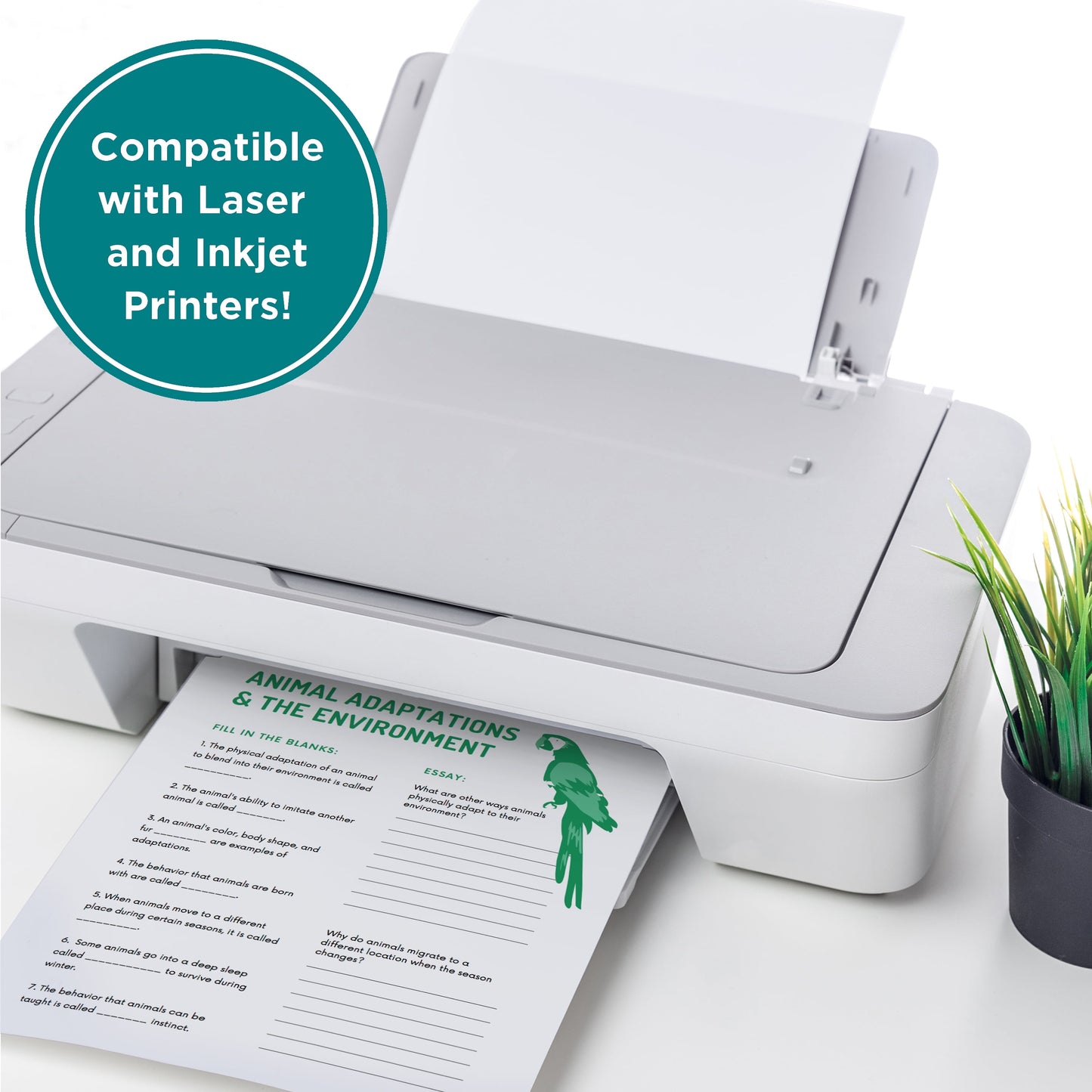 Elementree Sustainable Printer Paper – Eco-Friendly, Affordable, and High-Quality