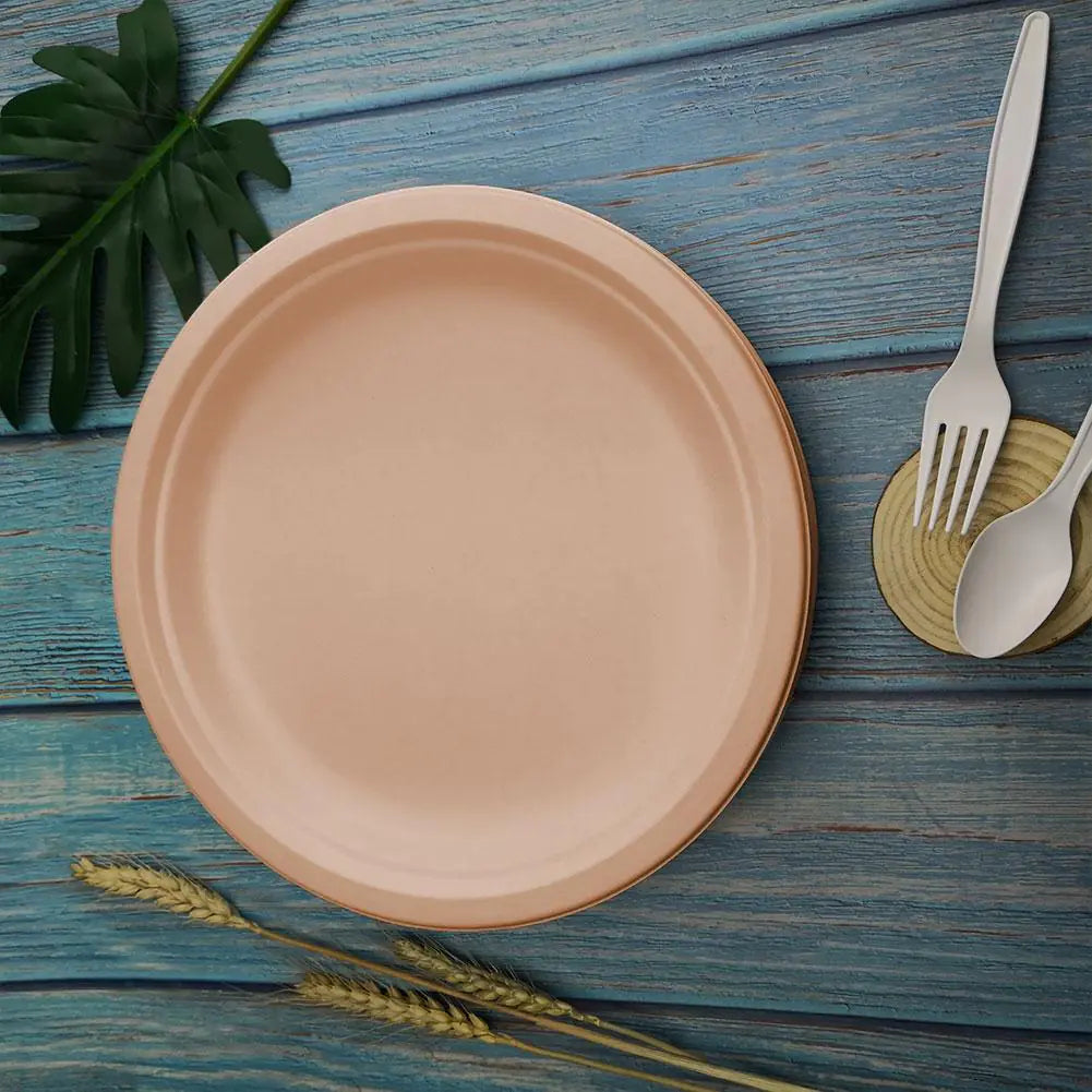 50 Pieces Biodegradable Natural Paper Trays