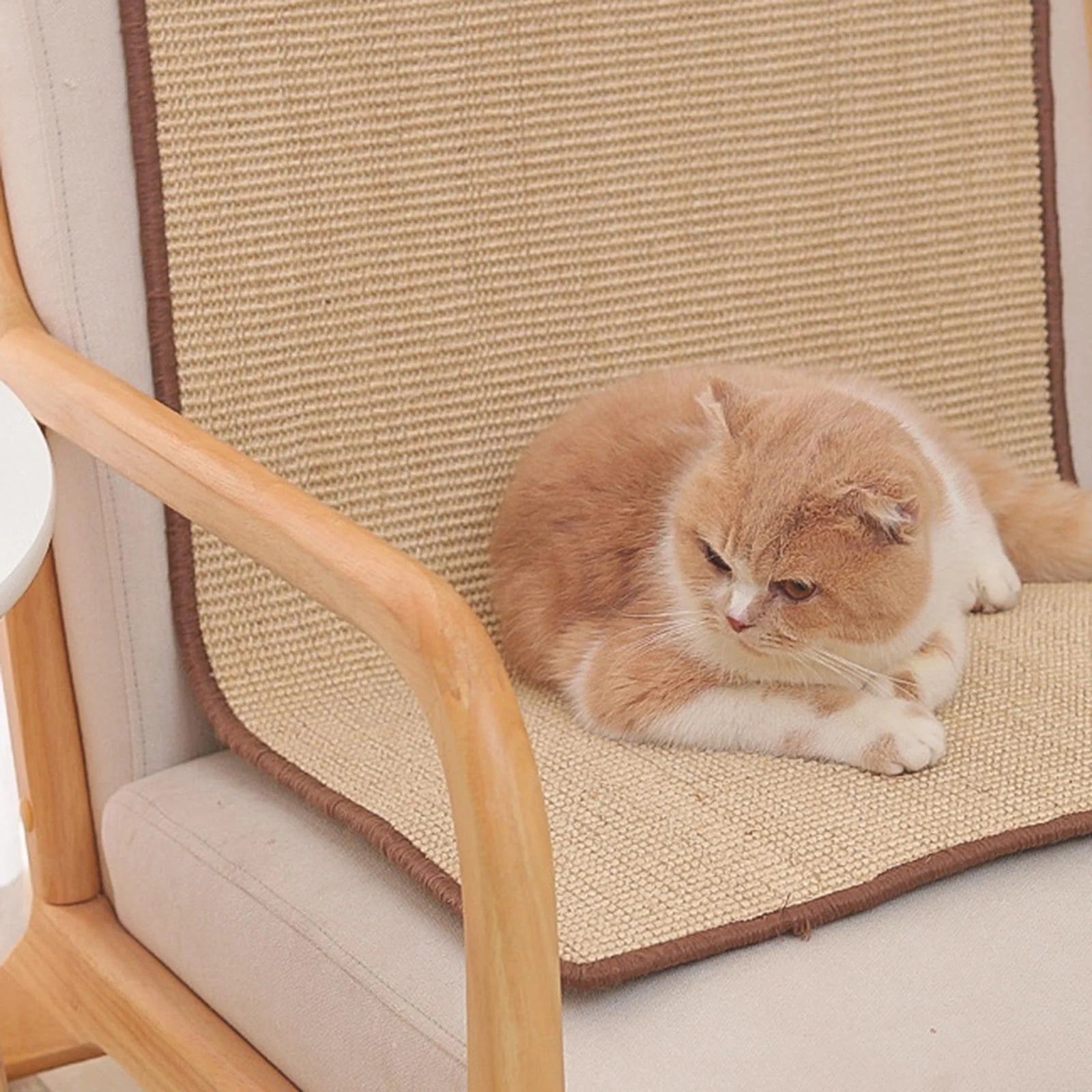 perfeclan Eco-Friendly Sisal Cat Scratcher Mat – Multi-Use Scratch Pad, Play Mat, and Furniture Protector