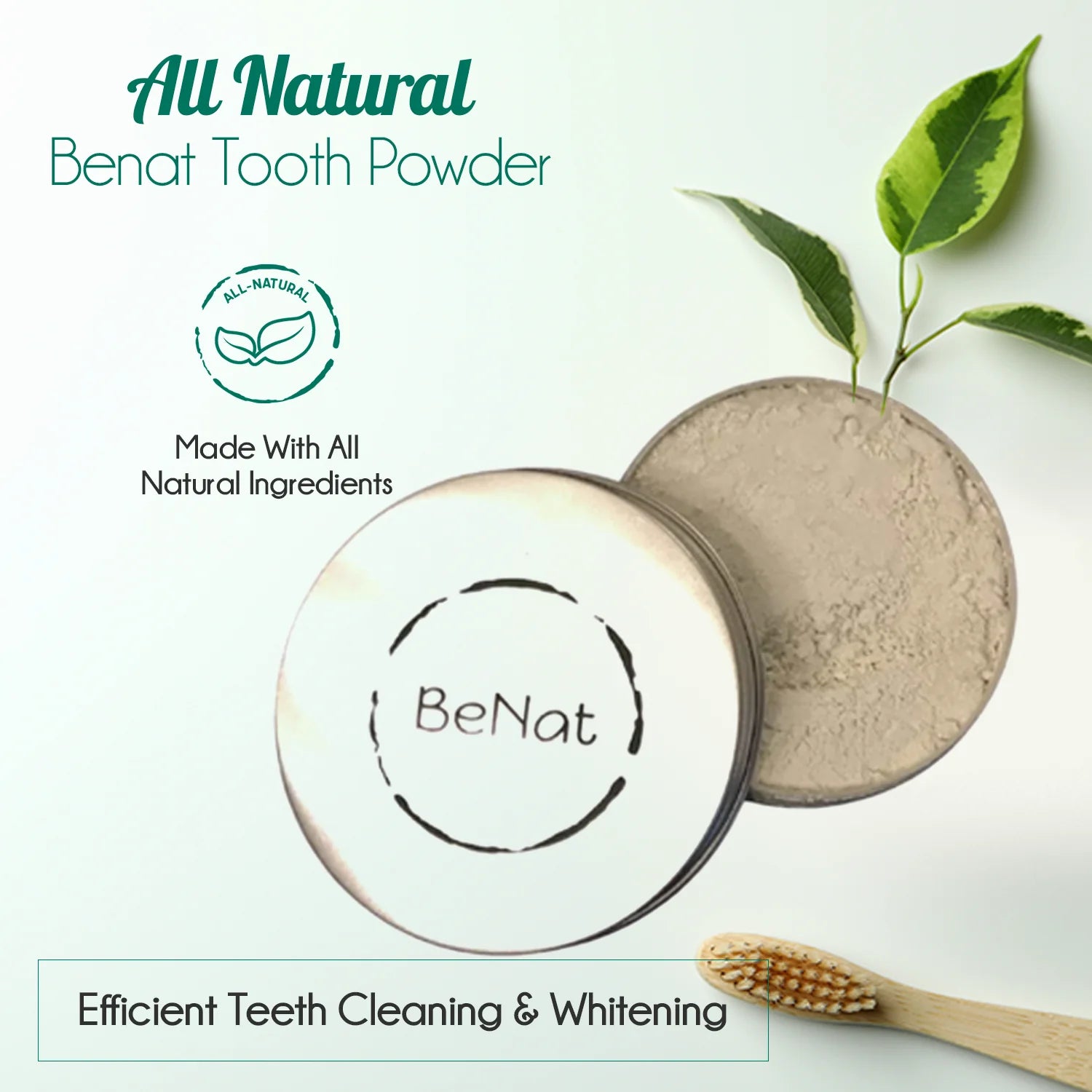 BeNat All-Natural Toothpowder