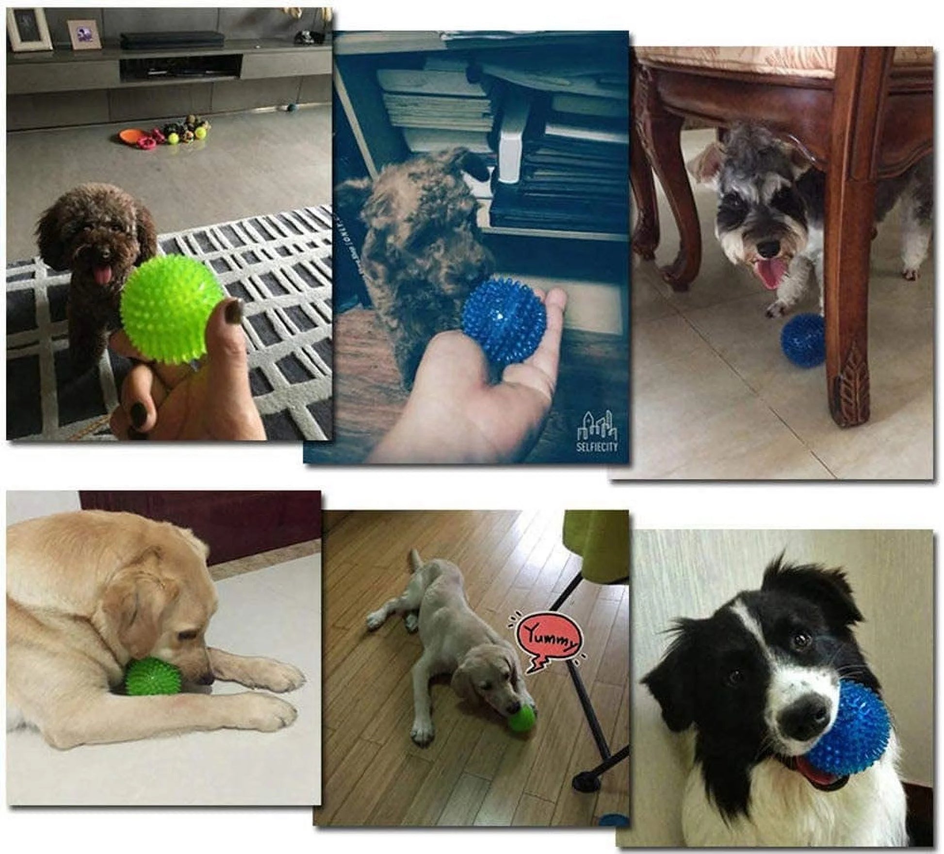 Durable Dog Toy Ball with Squeaker – Teeth Cleaning, Chew-Resistant, High Bounce Toy for Medium Dogs
