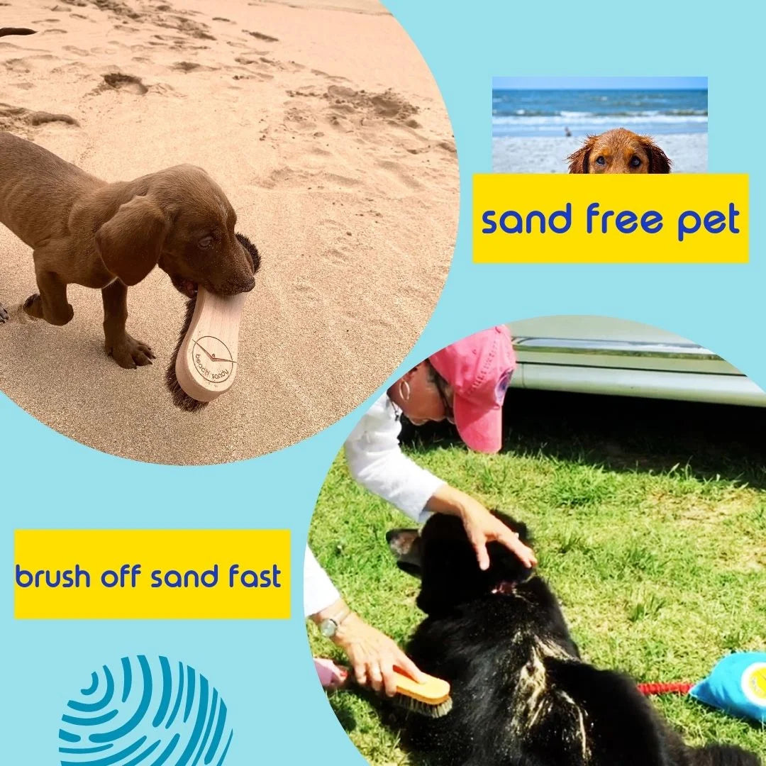 Beach Sandy Brush Kit – Eco-Friendly Sand Remover with Beech Wood Brushes & Microfiber Towel Bag – Portable Beach Accessory for Feet, Gear, & Pets