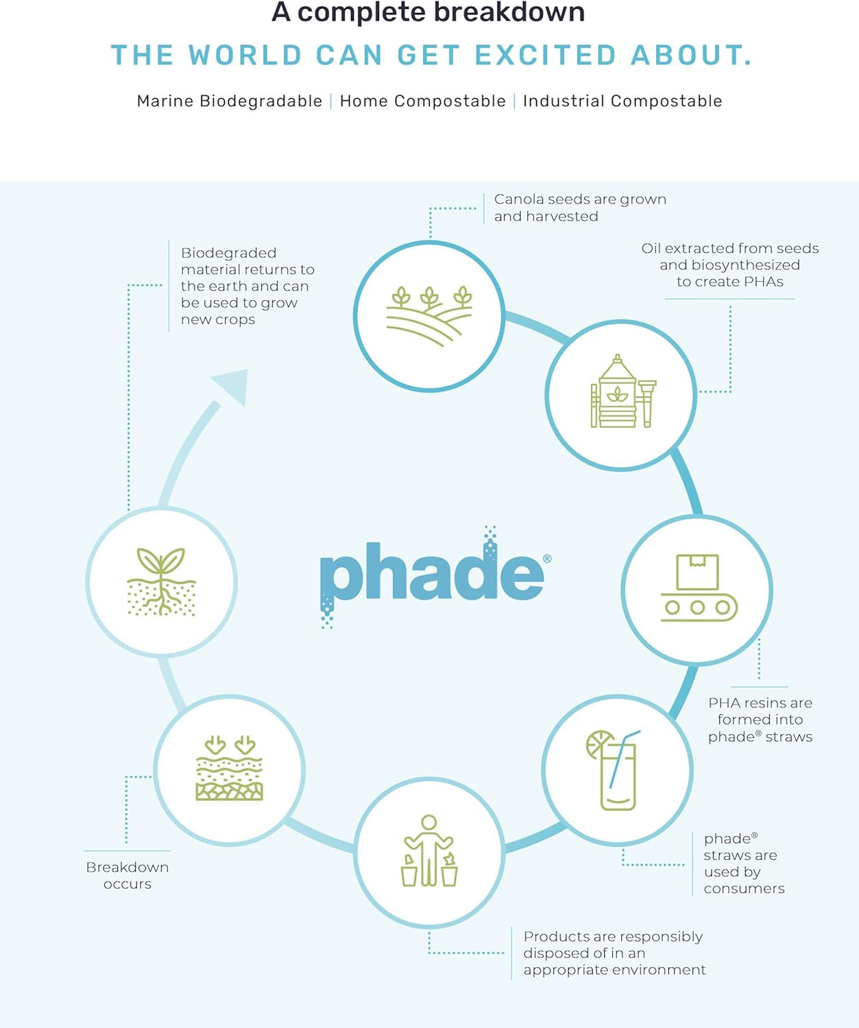 Phade Jumbo Straws – Eco-Friendly, Durable, and Compostable