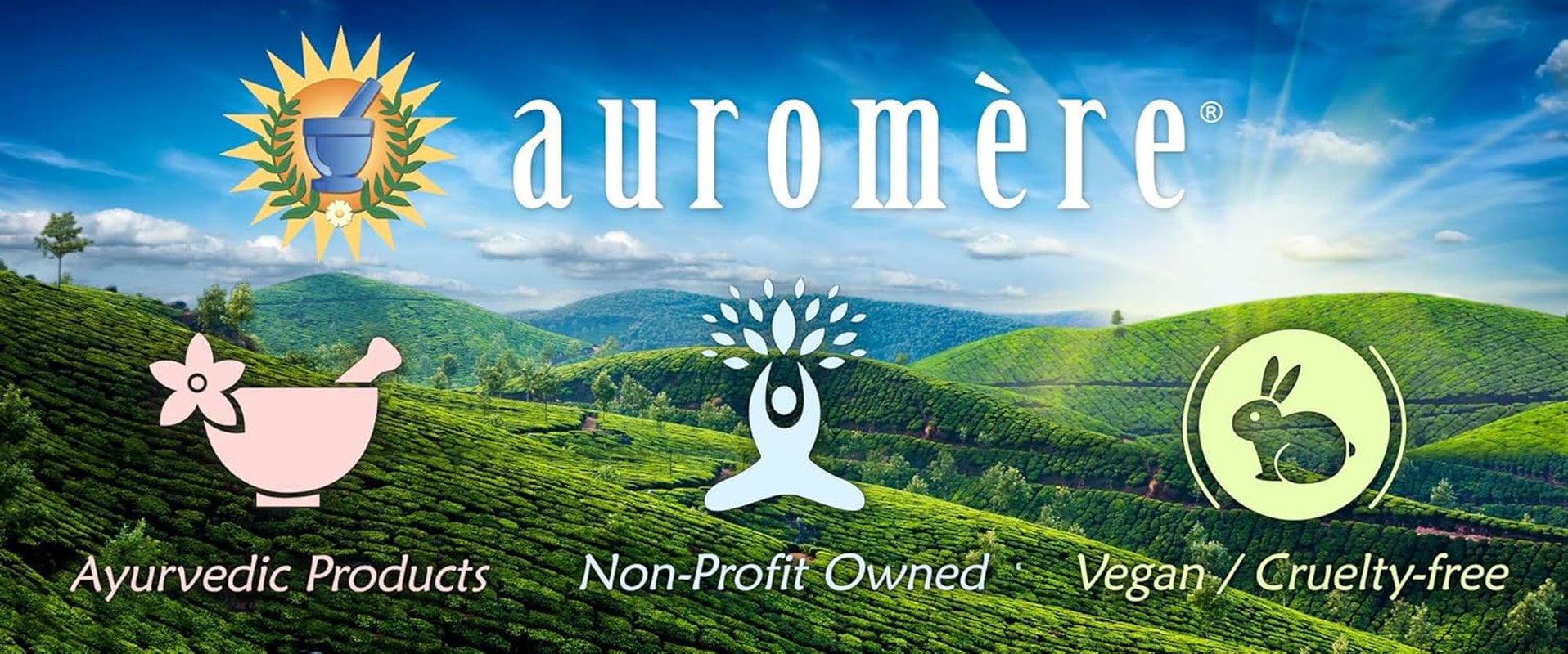 Auromère Ayurvedic Shampoo Bar – Tulsi-Spice | All-in-One Hair & Body Soap | Vegan, Zero-Waste, Neem & Herbal Formula (4.23 oz)