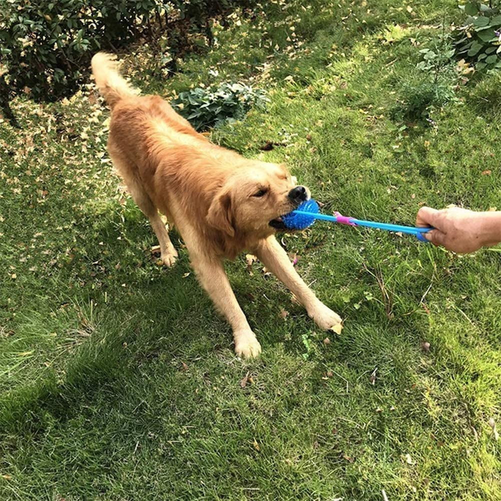 Durable Dog Toy Ball with Squeaker – Teeth Cleaning, Chew-Resistant, High Bounce Toy for Medium Dogs