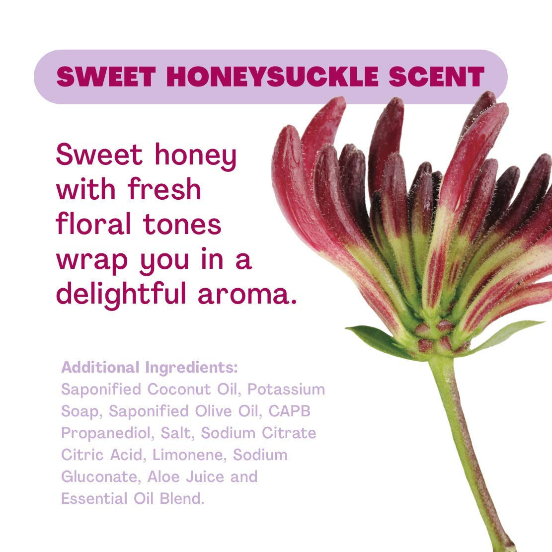 Liquid Hand Soap Refill – Sweet Honeysuckle, 32 oz